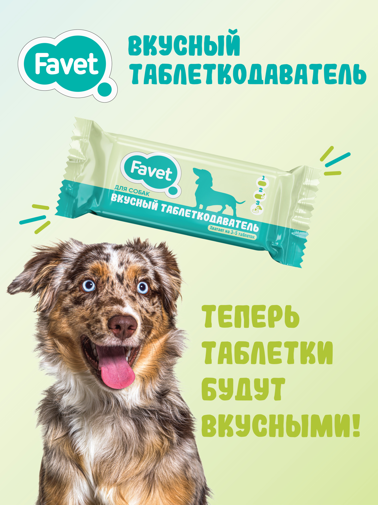 Favet Вкусный таблеткодаватель для собак (12 шт.), ПЭТ-банка 4620202541062