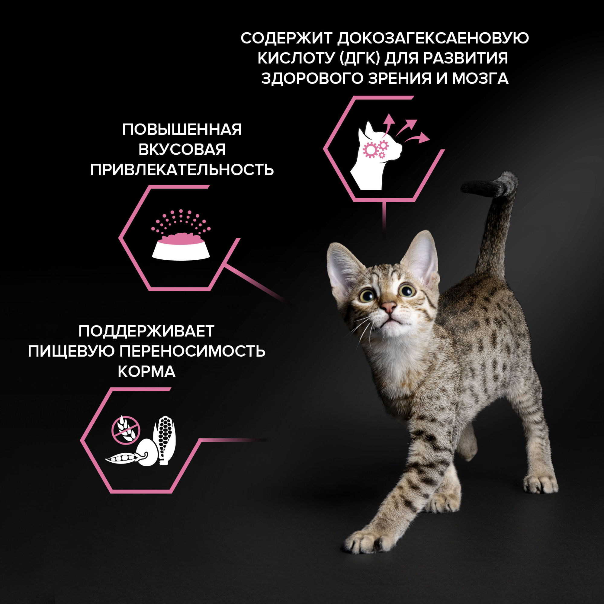 Сухой корм для котят PRO PLAN при чувствительном пищеварении с индейкой, 400гр