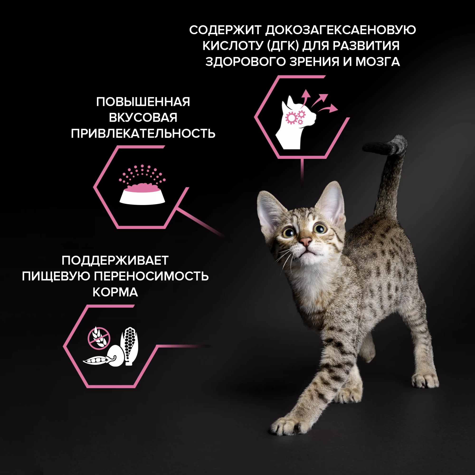 Сухой корм PRO PLAN для котят с чувствительным пищеварением, с индейкой, 10 кг + 2 кг